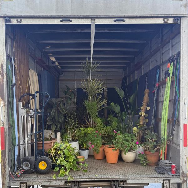 Untitled design (68)